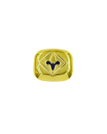 Cub Scout Webelos Rank Neckerchief Slide